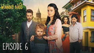 Wounded Birds  Episode 6  Multi Lang Subtitles Turkish Drama  Yaralı Kuşlar 2019 [upl. by Fernas]