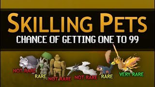 Skilling Pets chance of getting one to lvl 99 [upl. by Yanal]