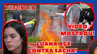 🔴O VAR VEIO VÍDEO EXPÕE SACHA LUANA AGE CONTRA E MOSTRA PIOR FALSIDADE VANESSA VAI PRA CIMA [upl. by Mattox]