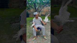 Maabaaptrending allhu explore allhah trend explorepage fyp viralvideo shorts shortindia [upl. by Lottie]