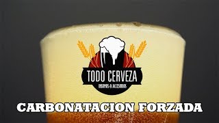 Carbonatacion Forzada de cerveza [upl. by Sonni]