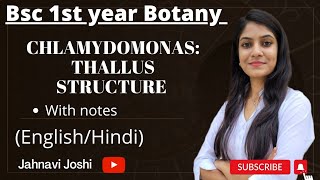 Chlamydomonas Thallus Structure notesBsc Bio 1st year Botany [upl. by Pete493]