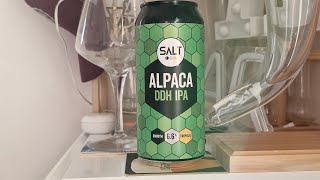 Beer Dad 3056 SALT Alpaca DDH IPA rereview [upl. by Arola]