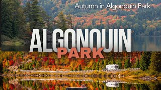 Algonquin Provincial Park [upl. by Willtrude]