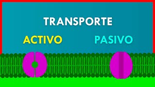 TRANSPORTE ACTIVO y PASIVO en la MEMBRANA PLASMÁTICA [upl. by Ainna638]