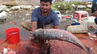 amazing big blood ka fish cutting market fish cutting skill speedcutting viral fish cutting [upl. by Sanbo622]