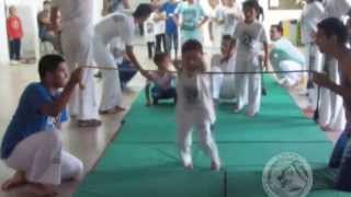 capoeira infantil [upl. by Olegna193]