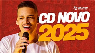 DEVINHO NOVAES  CD NOVO 2025 ATUALIZADO  MÚSICAS NOVAS [upl. by Kutchins]