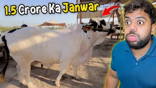 Qurbani Ka 15 Crore Ka Janwar 🐂😱  Expensive Cow Mandi Ke Khoobsurat Janwar Dekhe 😍 [upl. by Euginimod323]