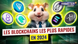 De Ripple à TON  les 6 blockchains les plus rapides battant des records ⚡️ Hamster Academy [upl. by Akined]