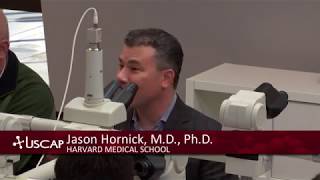 USCAP Jason Hornicks Deep Soft Tissue Tumors Spindle Cell Tumors [upl. by Betsey]