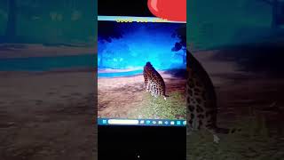 games animals roblox yeah I just wanted to make videos 😁 [upl. by Ellatnahc]