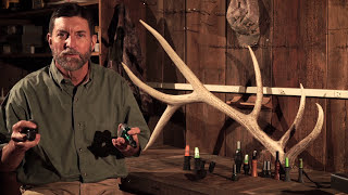 How to Use the Primos Hoochie Mama Cow Elk Call [upl. by Wun]