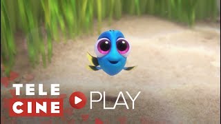 Telecine Play  Lançamentos 2017  Procurando Dory [upl. by Mabel32]