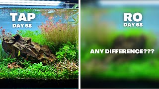 IS RO BETTER THAN TAP IN A PLANTED TANK MY EXPERIENCE AFTER 10 WEEKS [upl. by Airla]