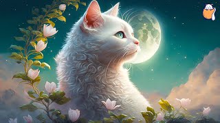 24 HOURS Soothing Music for Cats  Music to Help Your Cat Sleep  Sleepy Cat [upl. by Sublett236]