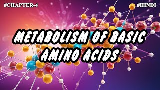 Chapter  4  Metabolism Of Basic Amino Acids  Arginine Histidine Lysine Part5  Hindi [upl. by Anirroc101]