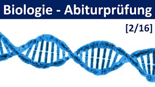 Biologie Abiturprüfung 2025  Tipps und Aufgabentypen 22  Abitur Biologie 216 [upl. by Irrac]