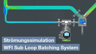 Strömungssimulation WFI Sub Loop Batching System [upl. by Jillian]