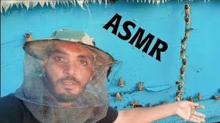 ASMR Honey Bee Farm Tour 🐝 [upl. by Adyela522]