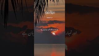 Surha shora verse 79 foryou trending islamicquotes quran duet Urdu translation [upl. by Nilved]