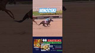 Winooski takes the first race under Edwin González GulfstreamPark [upl. by Francoise]