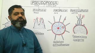 Types of Pseudopodia English medium profmasoodfuzail Pseudopodia  Anatomy of Pseudopodia [upl. by Anauj]