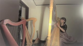 JGuridiViejo Zortzico para arpa Harp music グリーディ古いソルチコ Spain España Wakana Yasui ハープ演奏安井わかな [upl. by Jacquetta672]