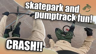 PURE SKATEPARK AND PUMPTRACK JOY  CRASH  Lele Trials [upl. by Aggarwal]