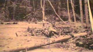 Bluff Creek Film Site Project Part 37 Overview 1 1162011 BIGFOOT PGF PG FILM PATTERSON [upl. by Hull946]