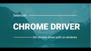 How to Set Chromedriver Path in Selenium  Install Chromedriver on Windows 10  SQA Tools [upl. by Croner]