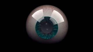 3D Eyeball Animation [upl. by Anisamot]