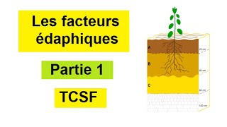 Les facteurs édaphiques tronc commun BIOF  Partie 1 [upl. by Hekking776]