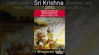 Bhagavad Gita in Kannada and English Chapter 11 and Verses 22 [upl. by Ameluz]