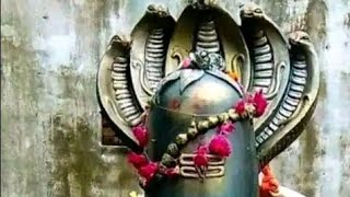 शिव चर्चा भजन ll 🙏❤️🥰🙏 ll trending shortsfeed shortsvideo Shivcharcha shivbhajan2024 vairal [upl. by Enillebyam]