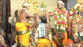 Madurai Arulmigu Meenakshi Thirukalyanam 10052014 [upl. by Boak]