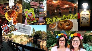 NEW DISNEY RAILROAD amp BIG THUNDER TRAIL  Disneyland Vlog 47 [upl. by Ardisj191]