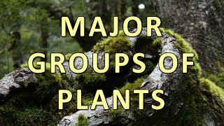 Major Groups of Plants [upl. by Ytsihc]