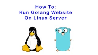 Run Golang website on server [upl. by Eilegna]