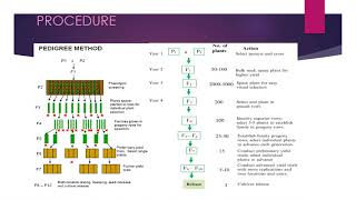 PEDIGREE SELECTION  BSc Agriculture  Fundamentals of Plant Breeding [upl. by Deerdre]