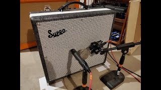 Supro BD12 vs WGS ET65 speaker comparison [upl. by Oiluig]