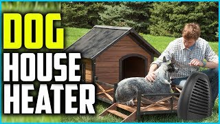 ✅ Top 5 Best Dog House Heater of 2024 [upl. by Asiret]