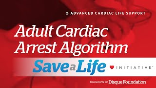 7d Adult Cardiac Arrest Algorithm 2024 [upl. by Ho]