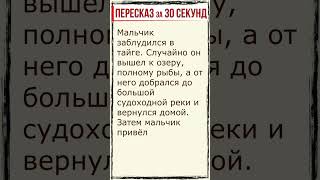 Васюткино озеро Пересказ за 30 секунд shorts [upl. by Sinnard]