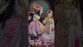 🌿Radhe Krishna new Bhakti ringtone 🌿song radheradhe govindradheshyam sorts latesttrending [upl. by Chrissa855]