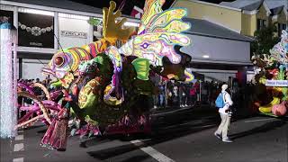 SAXONS Bring Nature To The 2022 Boxing Day Junkanoo Parade [upl. by Angelle132]