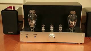 Preamp Tube Shootout in Elekit Tube Amp [upl. by Avehstab]