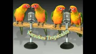 Karaokes TropicalesVolver A Amar [upl. by Notsnarc]