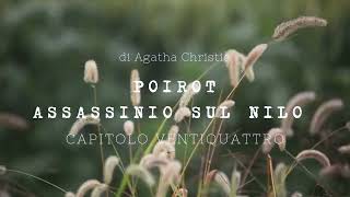 Assassinio sul Nilo di Agatha Christie  Capitolo Ventiquattro [upl. by Ecirtak687]