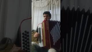 Acordeon chamame kilómetro 11 [upl. by Thorner802]